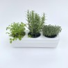 Kit Potager Urbain Deluxe (petit)